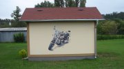 4d08f83a37e48-moto-jpg.JPG